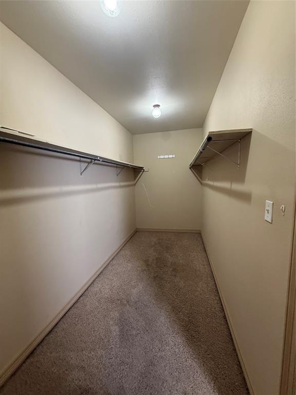 201 Woodhaven Drive Minden, LA 71055 - Photo 15 of 31 Walk-in closet featuring neutral carpet flooring, shelving with hanging rods, and recessed lighting