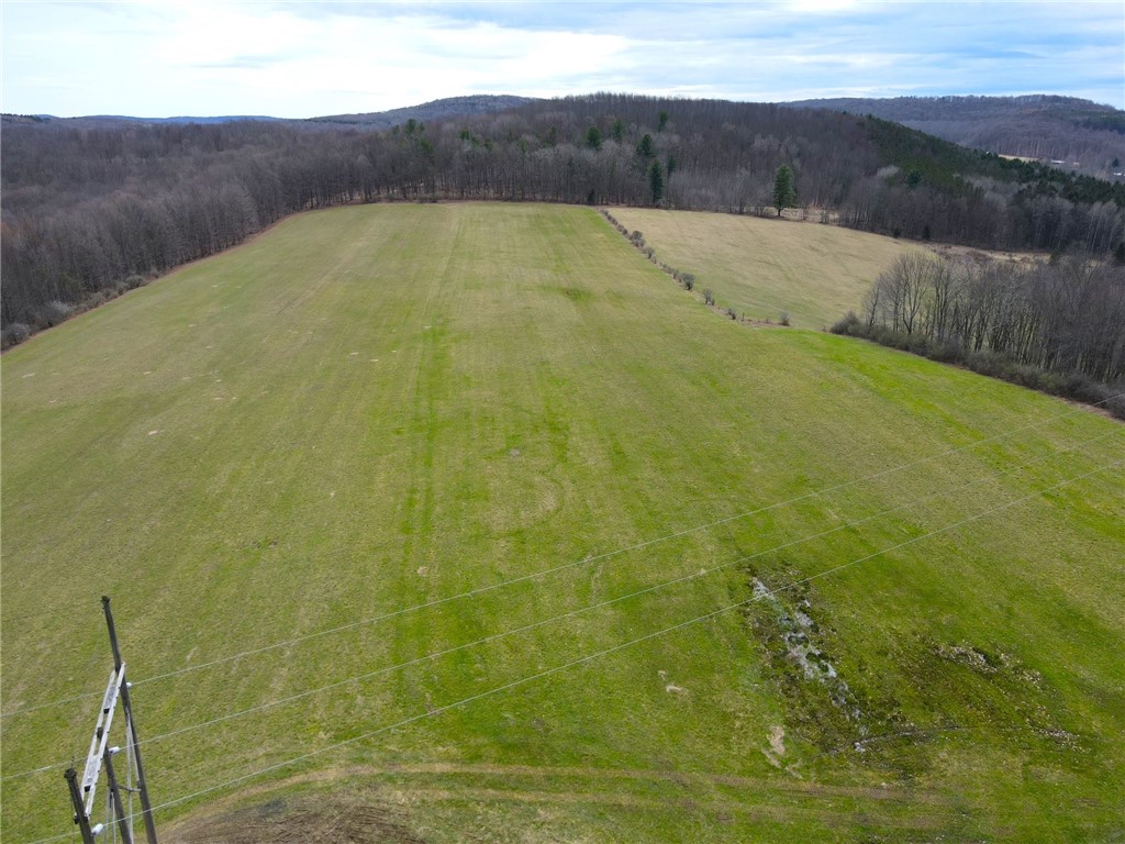 Lot 7 Summit Road Cuba, NY 14727 - Photo 6 of 31