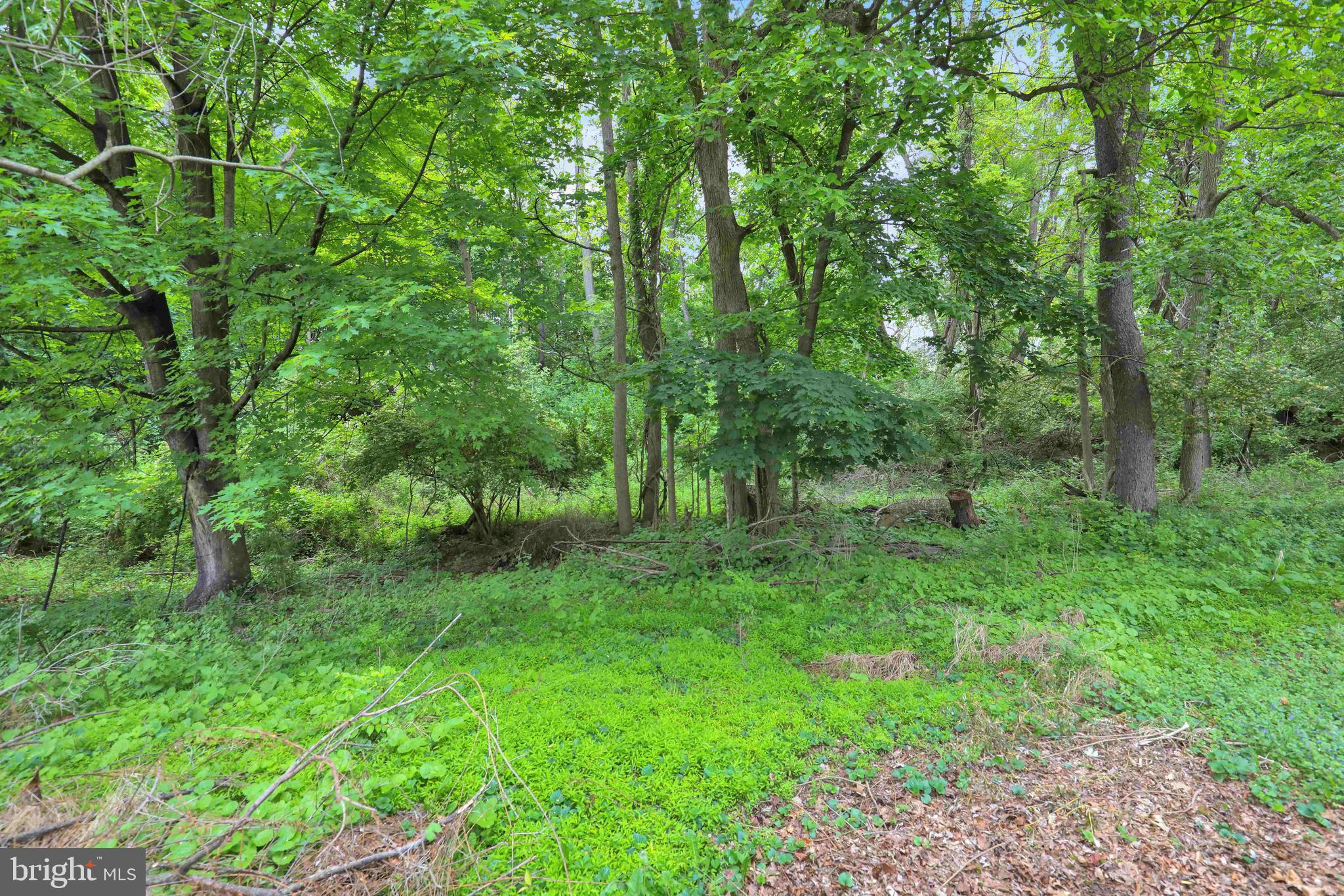 2416 High Street Reading, PA 19605 - Photo 23 of 25 Property backs to the woods