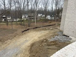 a view of a yard with trees