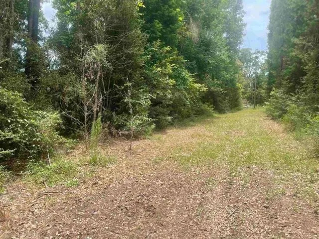 $70,000 | 1 County Road 4600, Spurger, TX 77660