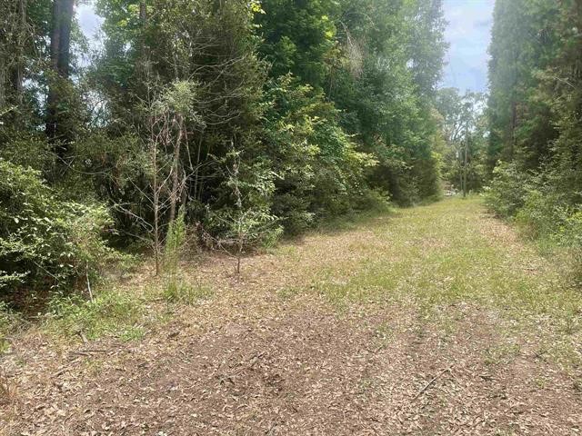 1 County Road 4600 Spurger, TX 77660 - Photo 1 of 12