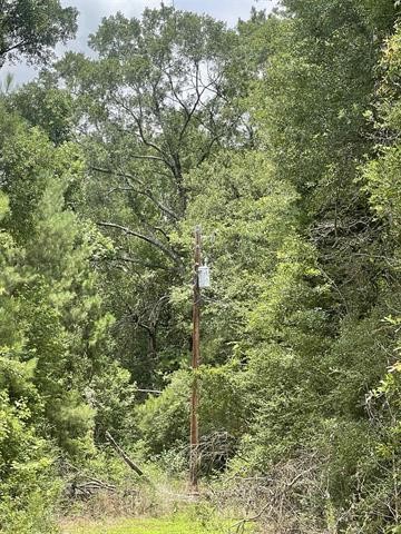 1 County Road 4600 Spurger, TX 77660 - Photo 11 of 12