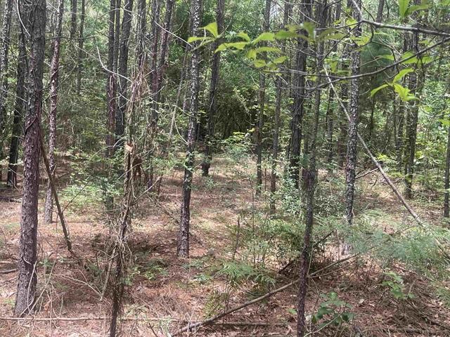 1 County Road 4600 Spurger, TX 77660 - Photo 12 of 12