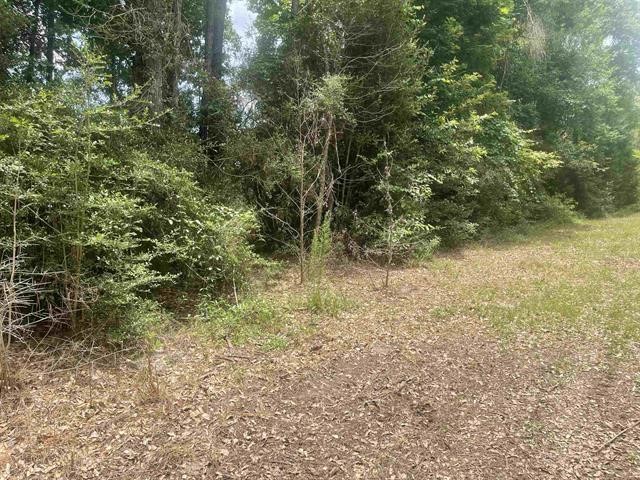 1 County Road 4600 Spurger, TX 77660 - Photo 2 of 12