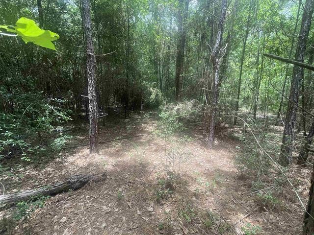 1 County Road 4600 Spurger, TX 77660 - Photo 3 of 12