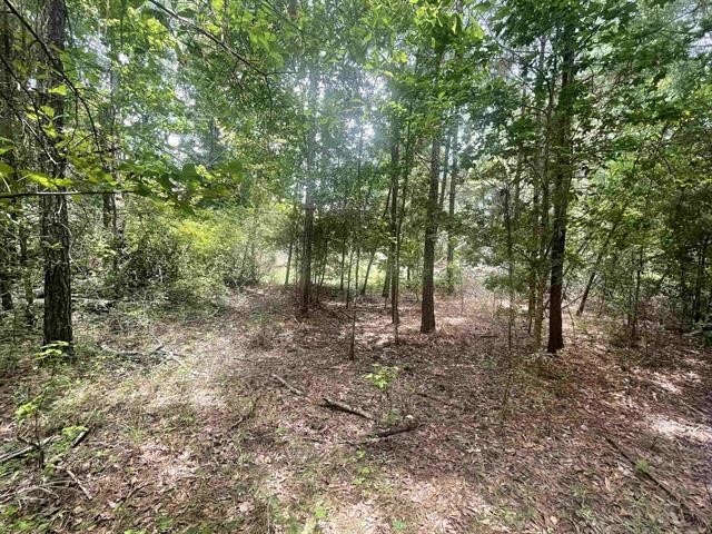 1 County Road 4600 Spurger, TX 77660 - Photo 5 of 12