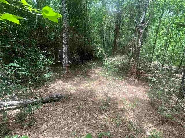 $70,000 | 1 County Road 4600, Spurger, TX 77660