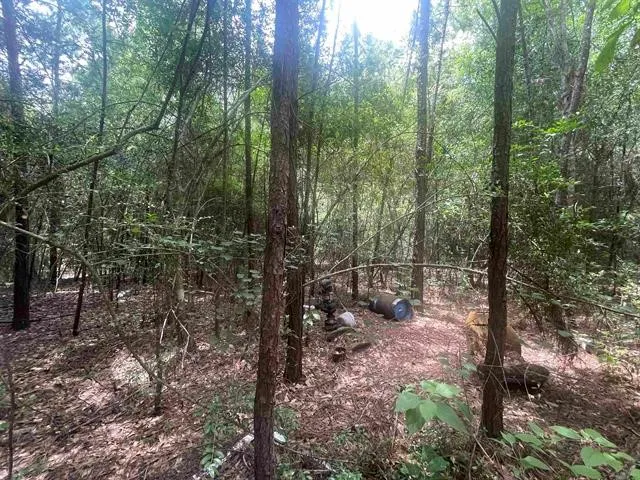 $70,000 | 1 County Road 4600, Spurger, TX 77660