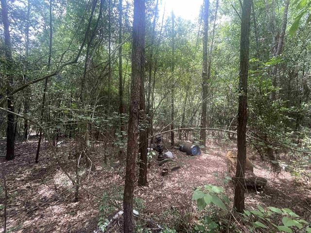 1 County Road 4600 Spurger, TX 77660 - Photo 8 of 12