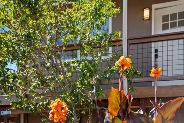 a view of a house with a yard and wooden fence