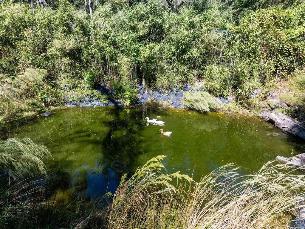 3039 Springdale Road Live Oak, FL 32060 - Photo 34 of 50