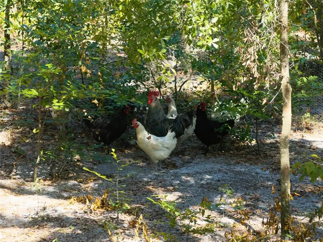 $679,900 | 3039 Springdale Road, Live Oak, FL 32060