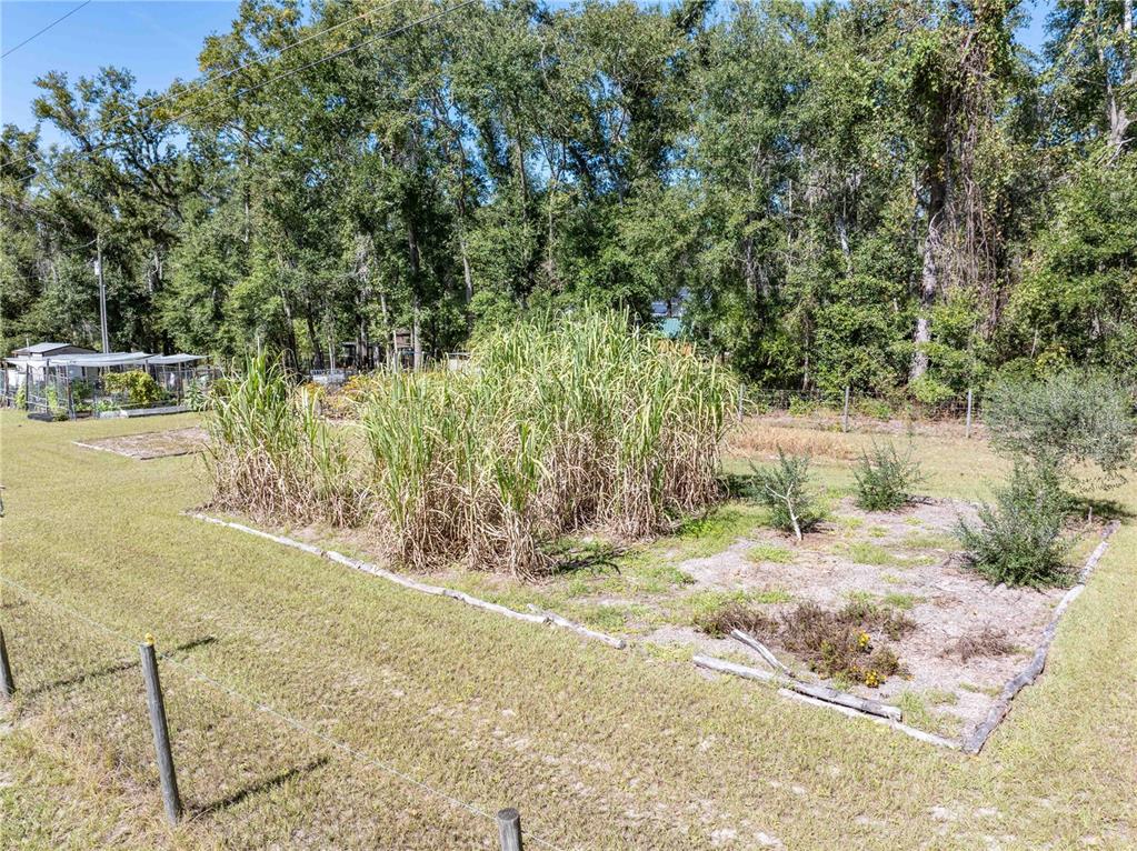 3039 Springdale Road Live Oak, FL 32060 - Photo 43 of 50