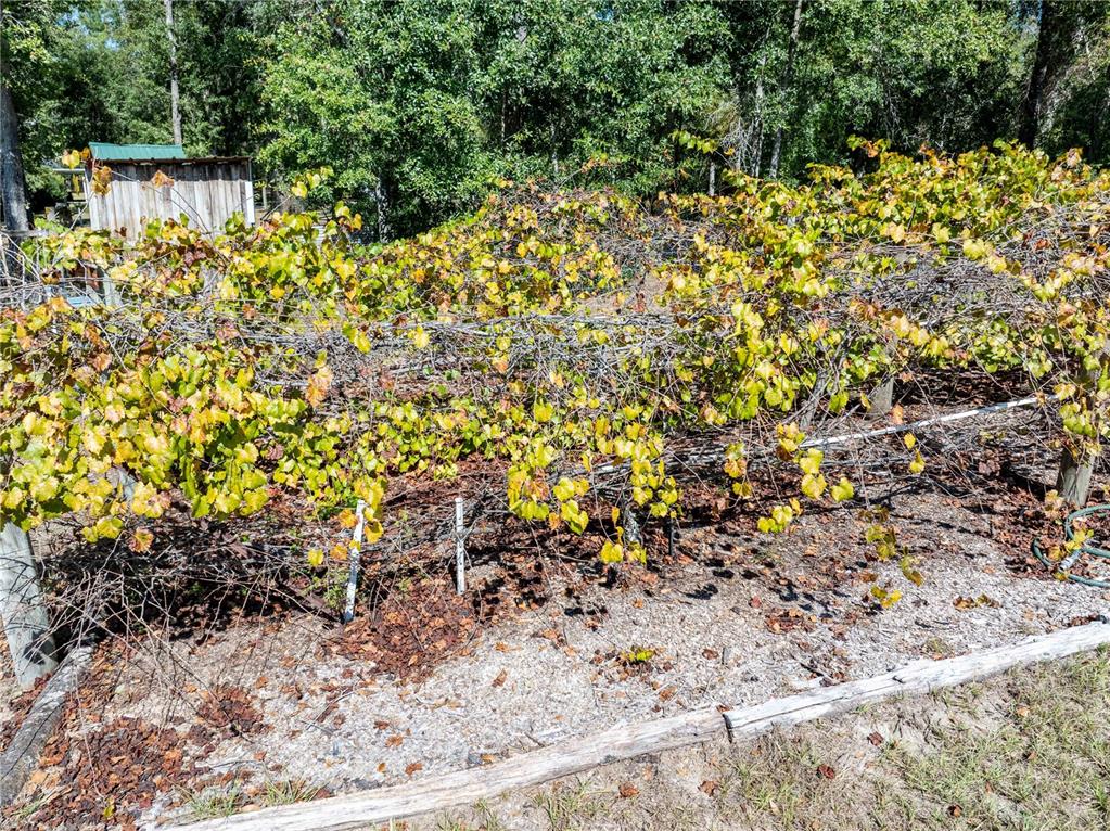 3039 Springdale Road Live Oak, FL 32060 - Photo 45 of 50