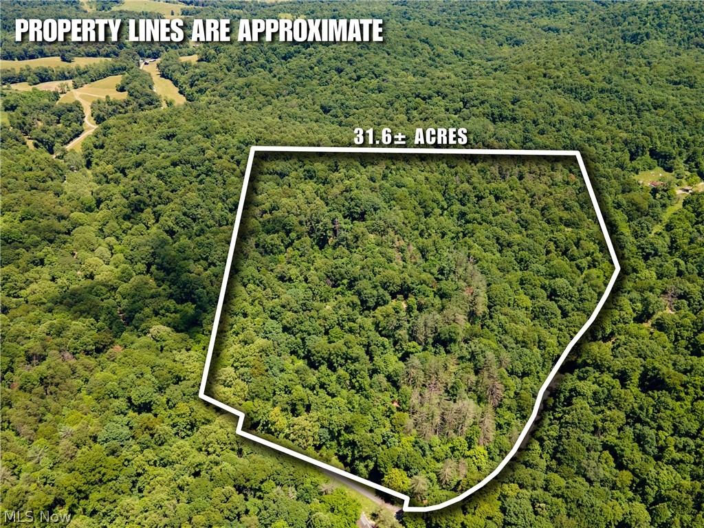 0 Long Hollow Road Pomeroy, OH 45769 - Photo 1 of 31