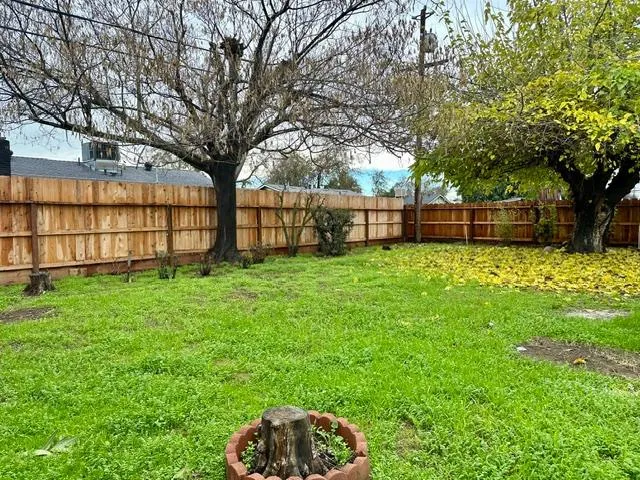a view of a backyard with large trees and wooden fence