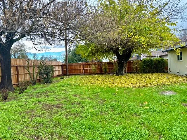 a view of a backyard with a large tree