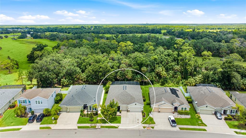 15313 Trinity Fall Way Bradenton, FL 34212 - Photo 31 of 41