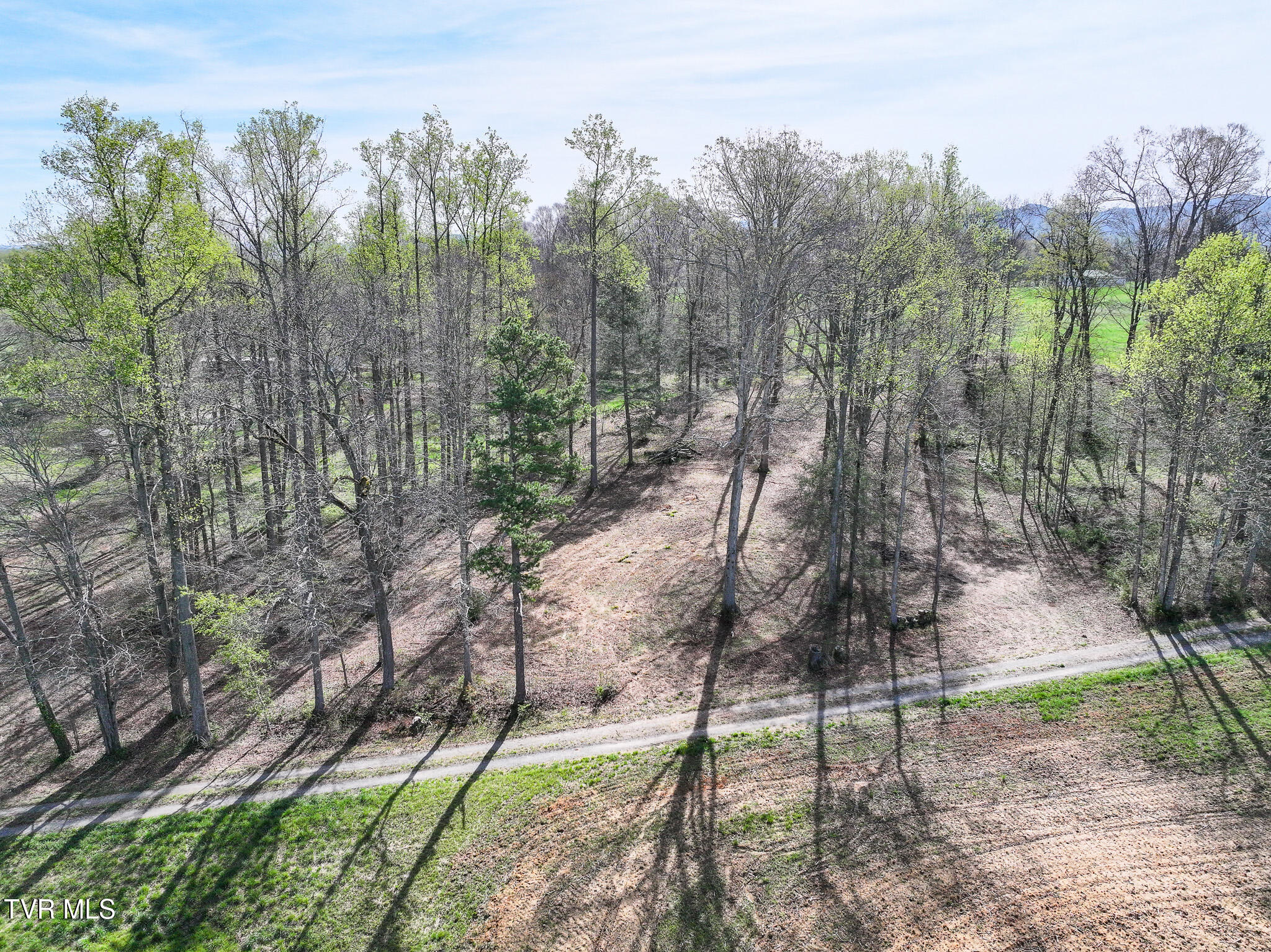 190 Treadway Road Chuckey, TN 37641 - Photo 9 of 34 DJI_20260406094400_0408_D