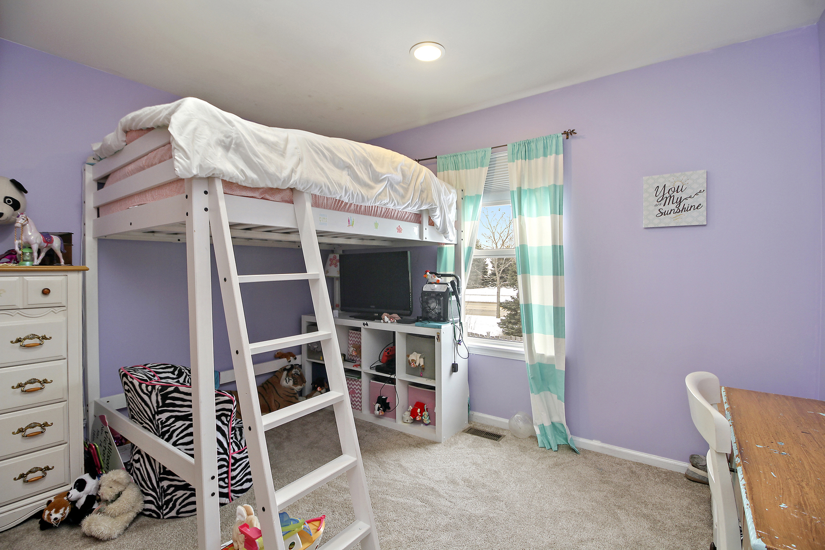 3704 Harms Road Joliet, IL 60435 - Photo 12 of 17
