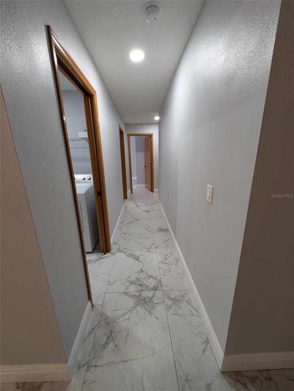 2106 Whitlock Place Dover, FL 33527 - Photo 43 of 83