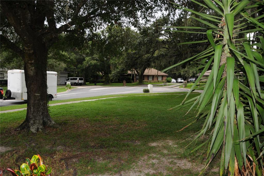 2106 Whitlock Place Dover, FL 33527 - Photo 6 of 83