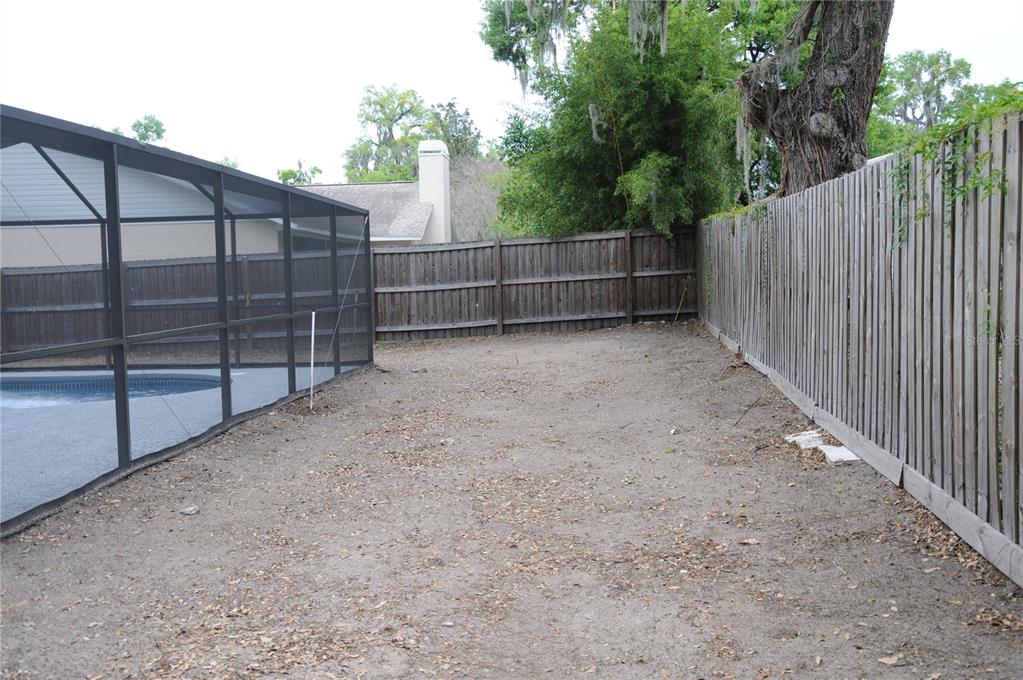 2106 Whitlock Place Dover, FL 33527 - Photo 75 of 83 a view of backyard and tree