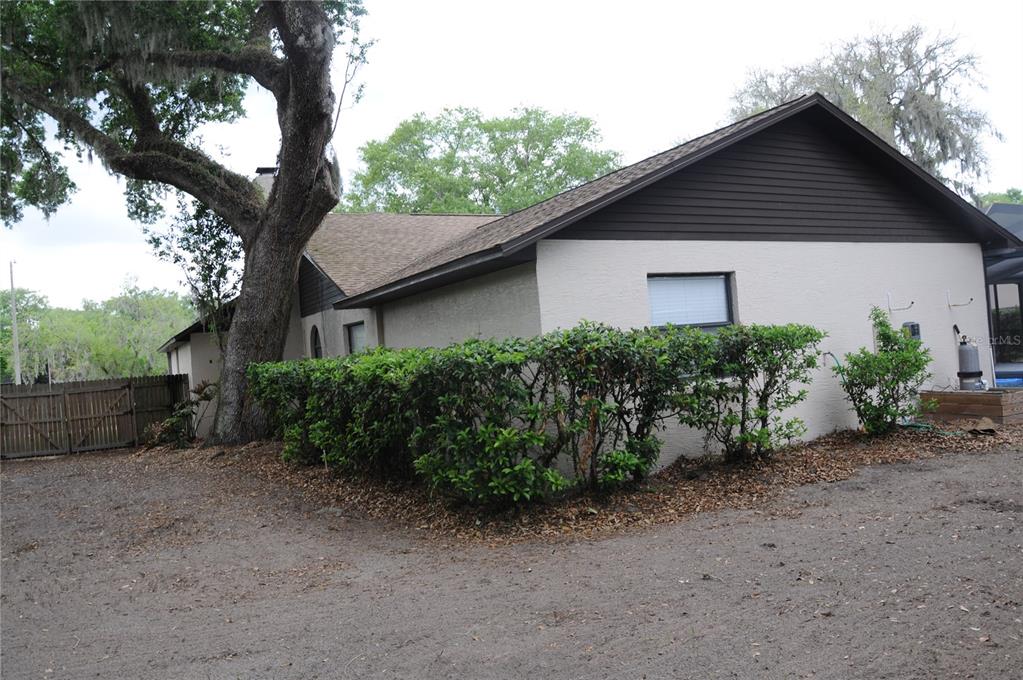 2106 Whitlock Place Dover, FL 33527 - Photo 79 of 83 a backyard of a house with plants and trees
