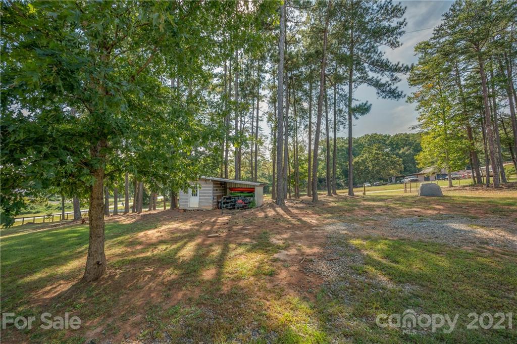455 Sandy Plains Road Tryon, NC 28782 - Photo 25 of 28 a view of backyard with tree