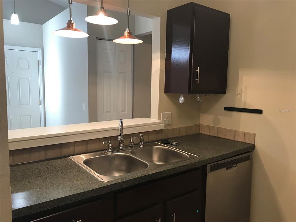 5100 Burchette Road, Unit 1607 Tampa, FL 33647 - Photo 24 of 39 a close view of sink and tap