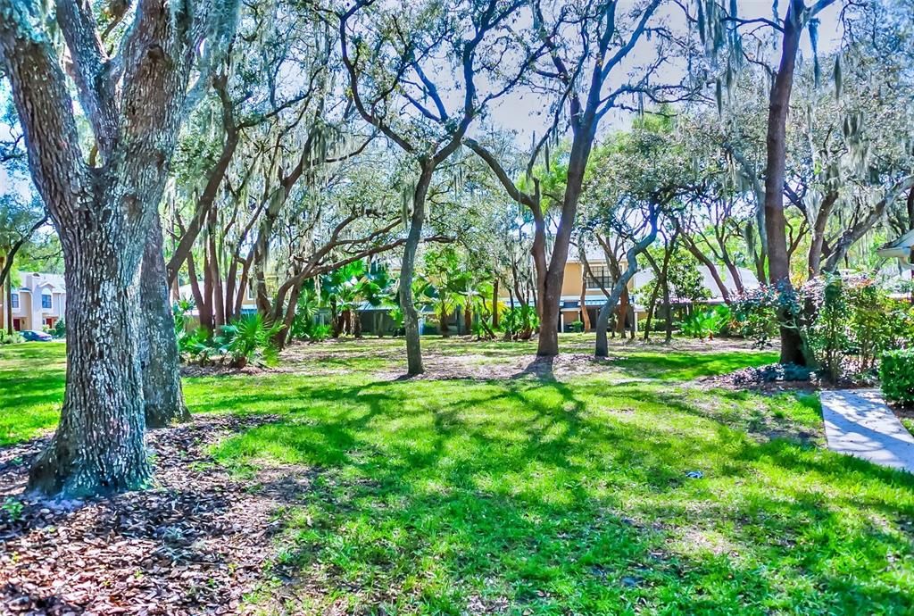 5100 Burchette Road, Unit 1607 Tampa, FL 33647 - Photo 3 of 39 a view of a backyard with large trees