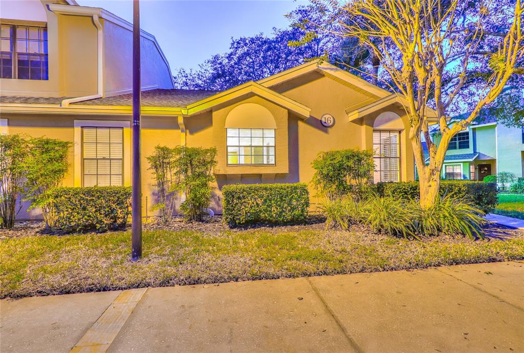5100 Burchette Road, Unit 1607 Tampa, FL 33647 - Photo 8 of 39 a view of a house with a yard