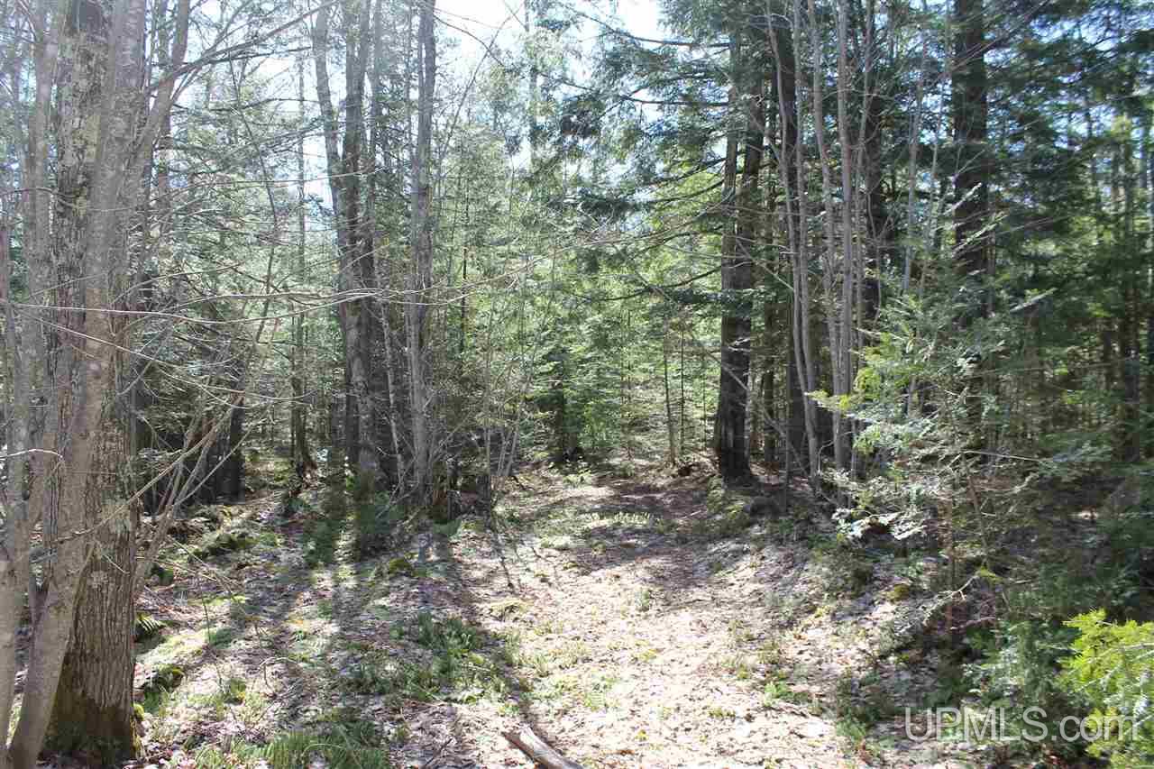 Tbd Tbd Trail Road, Unit 800 Deerton, MI 49822 - Photo 6 of 6