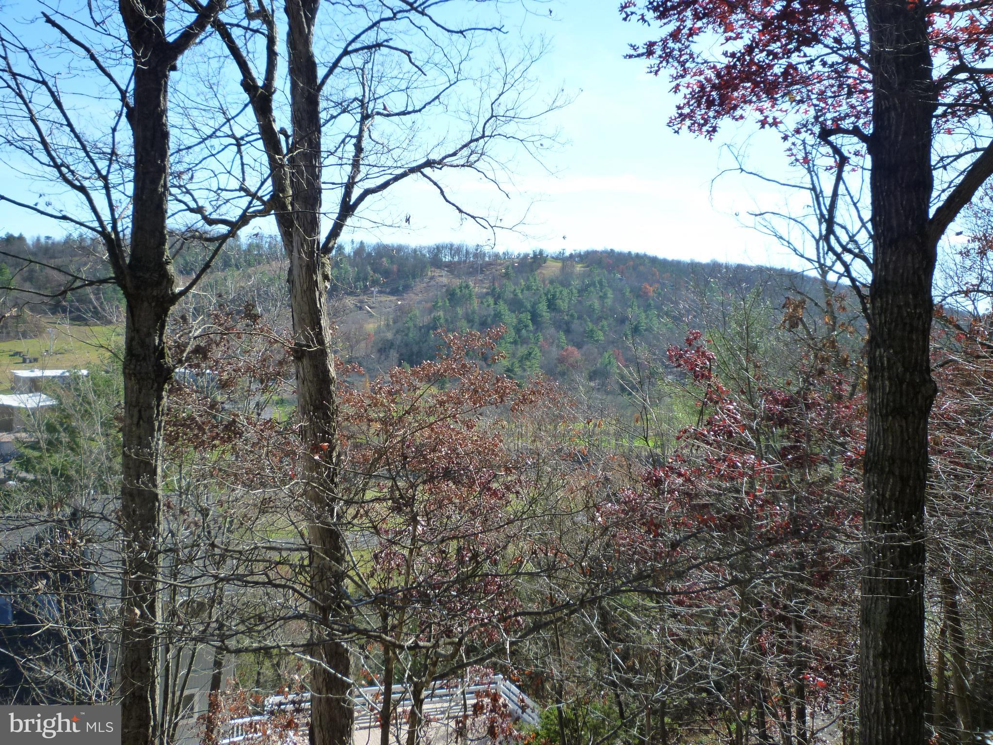 416 Killmon Road Basye, VA 22810 - Photo 2 of 31 MOUNTAIN VIEW FROM DECKS
