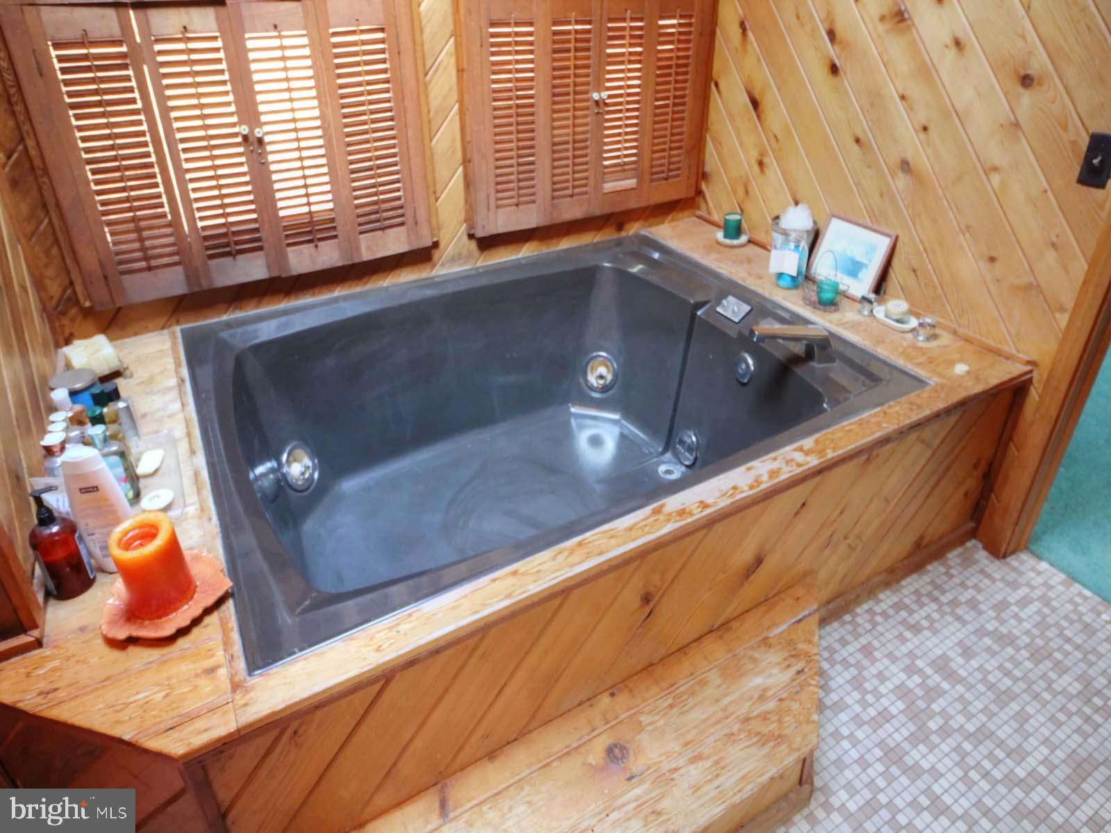 416 Killmon Road Basye, VA 22810 - Photo 21 of 31 PRIMARY BATH WITH RELAXING TUB