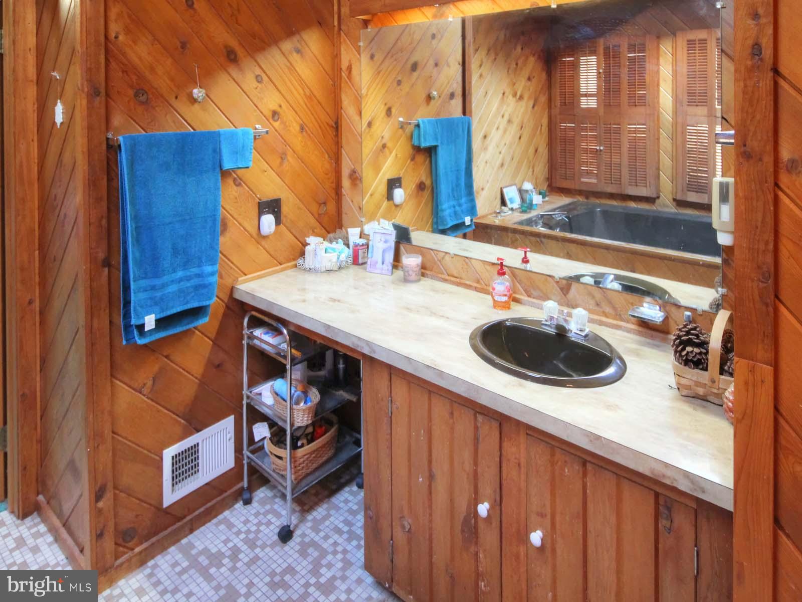 416 Killmon Road Basye, VA 22810 - Photo 22 of 31 PRIMARY BATH