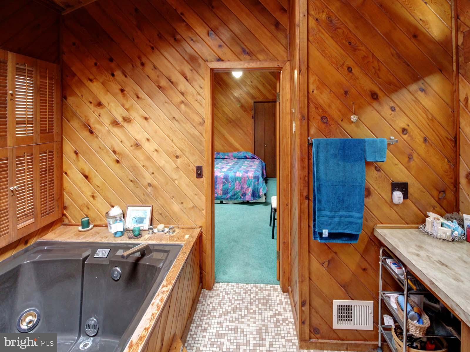 416 Killmon Road Basye, VA 22810 - Photo 23 of 31 PRIMARY BATH