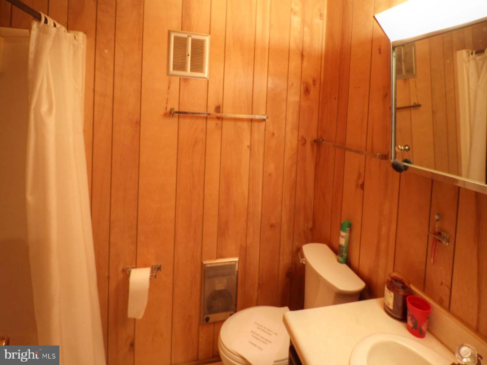 416 Killmon Road Basye, VA 22810 - Photo 25 of 31 MAIN LEVEL HALL FULL BATH