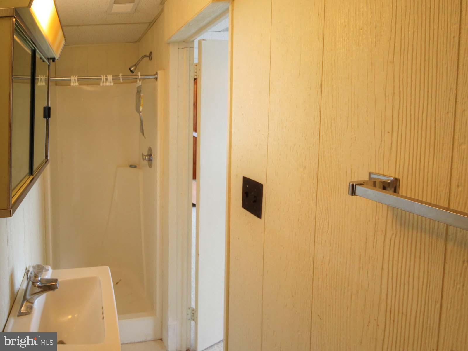 416 Killmon Road Basye, VA 22810 - Photo 29 of 31 LOWER LEVEL FULL BATH