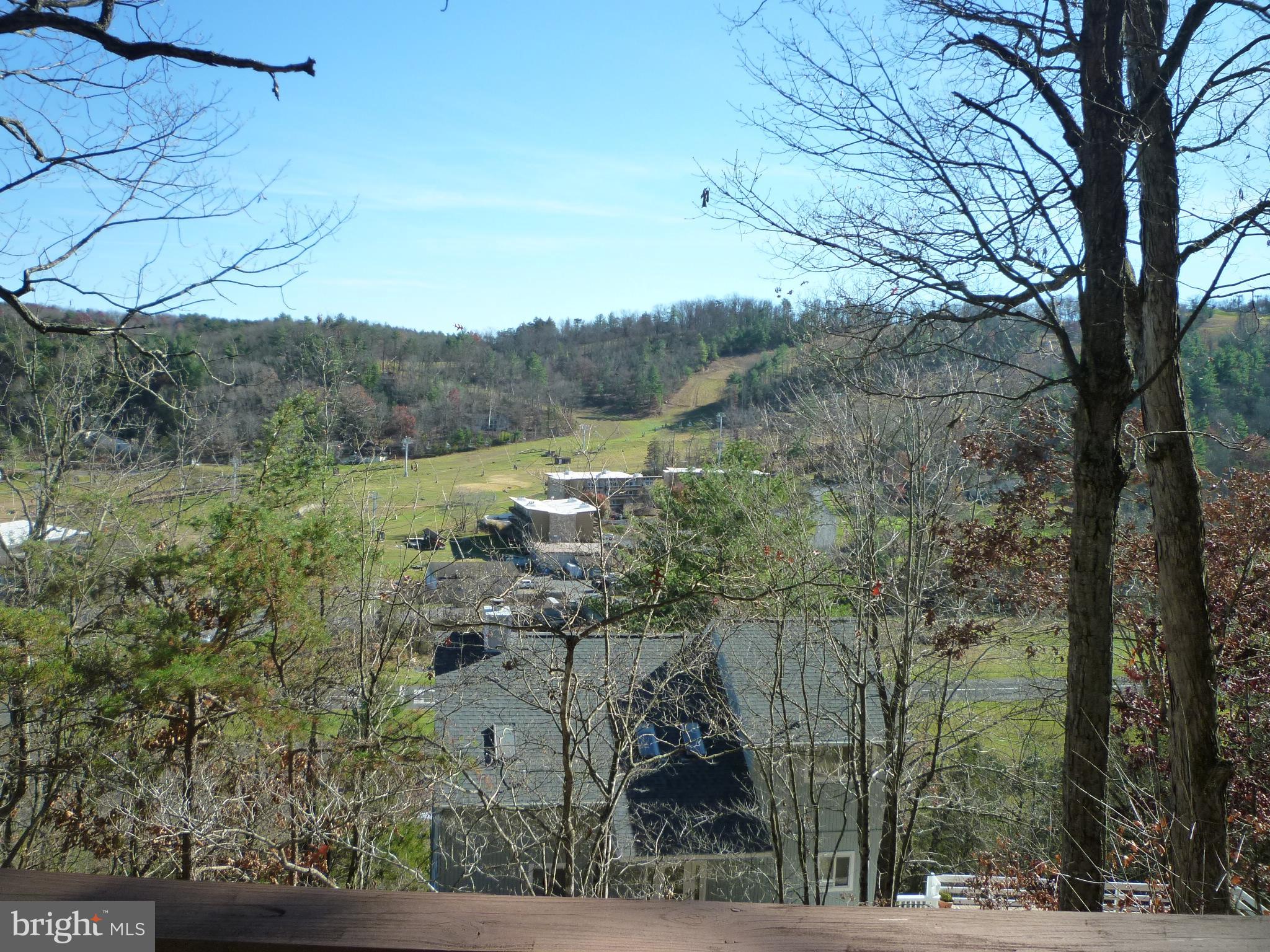 416 Killmon Road Basye, VA 22810 - Photo 3 of 31 SKI SLOPE VIEWS FROM DECKS