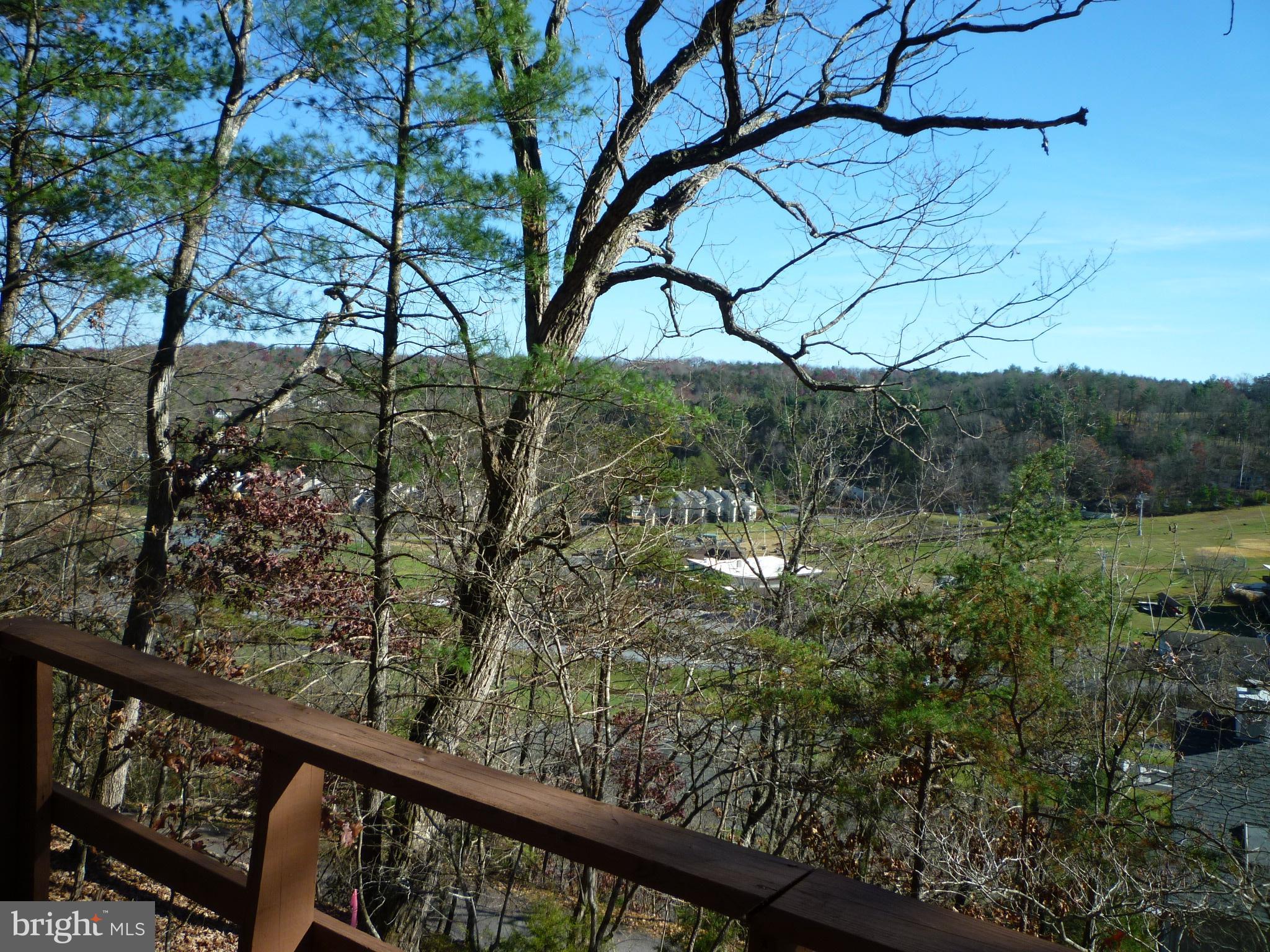 416 Killmon Road Basye, VA 22810 - Photo 5 of 31 BRYCE ACTIVITY CENTER VIEW FRON DECKS