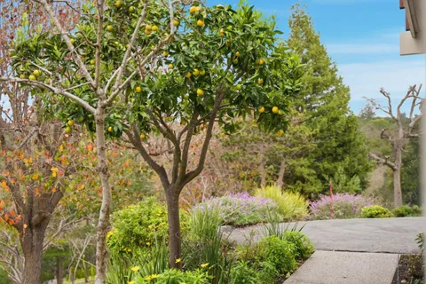 $5,698,000 | 27769 Edgerton Road, Los Altos Hills, CA 94022