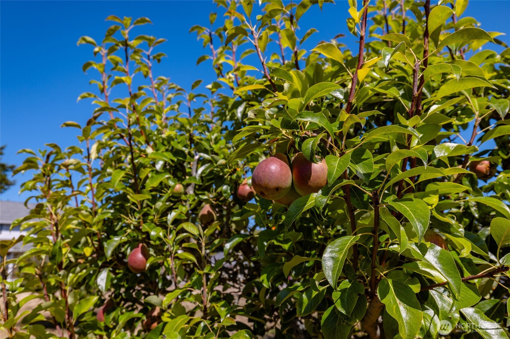 15284 Deception Road Anacortes, WA 98221 - Photo 32 of 40