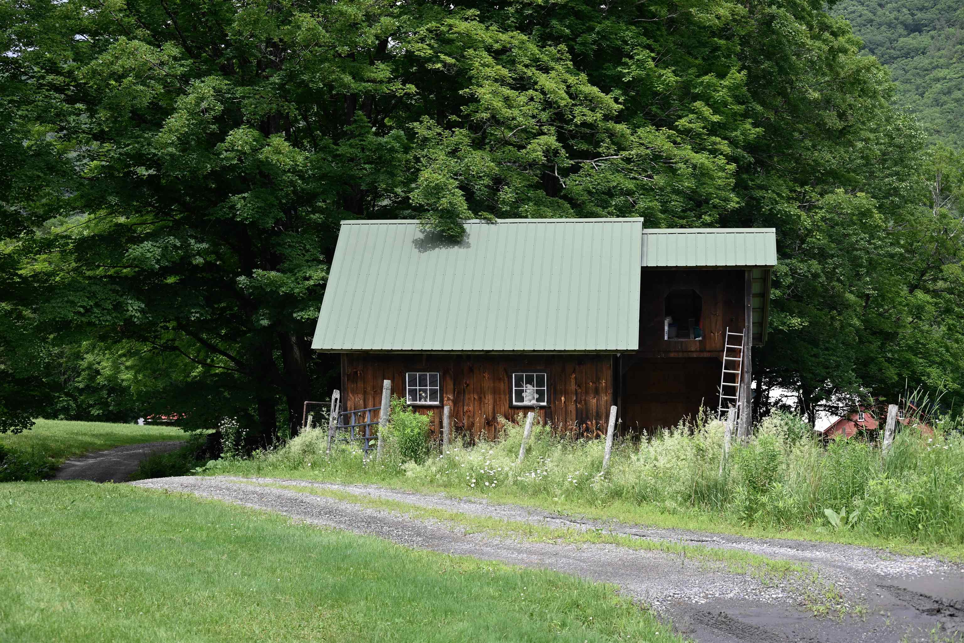 60 Cooke Road Brattleboro, VT 05301 - Photo 20 of 40 Gallery Image 20