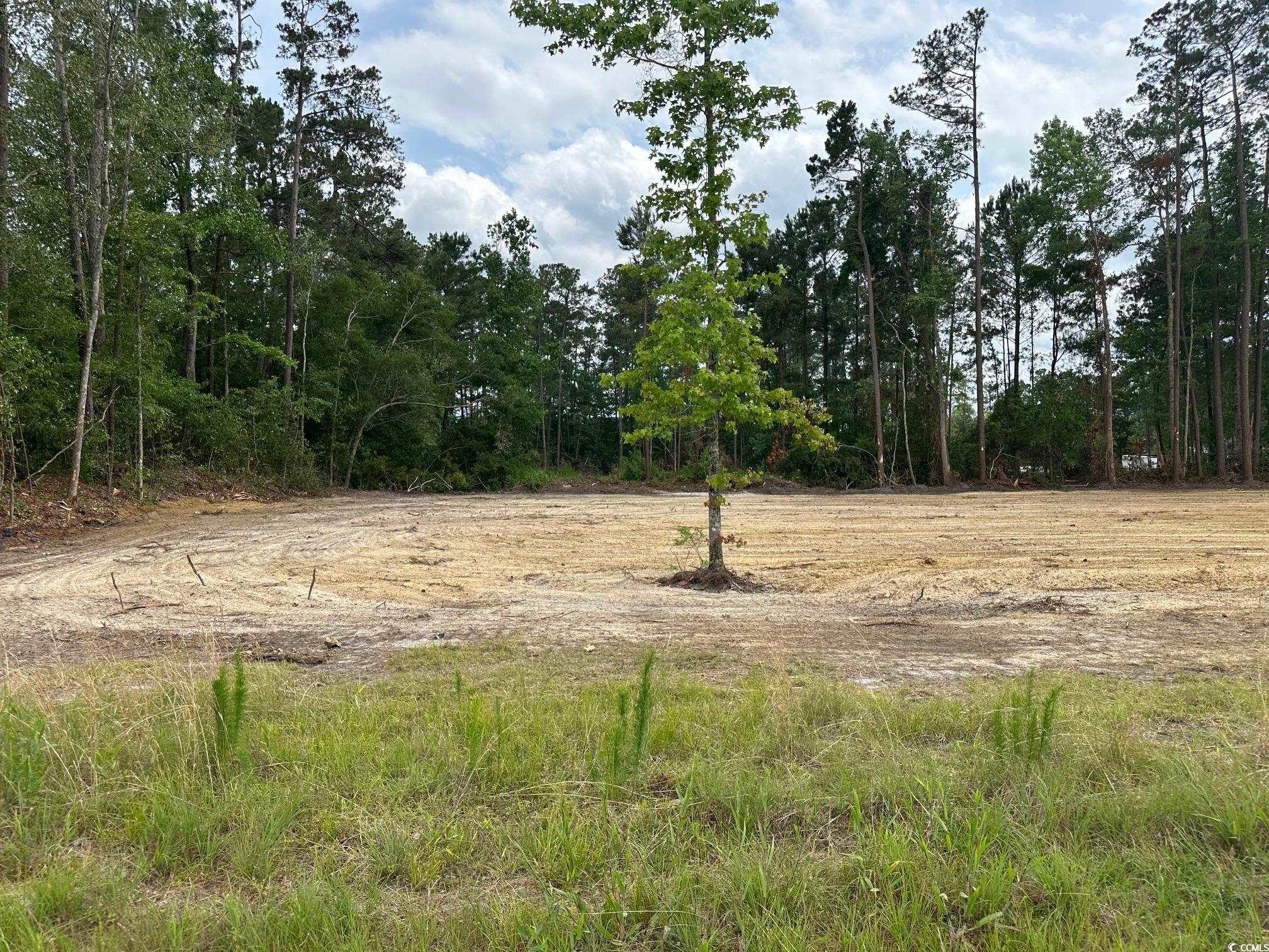 1 St John Road Galivants Ferry, SC 29544 - Photo 1 of 2 Gallery Image 1