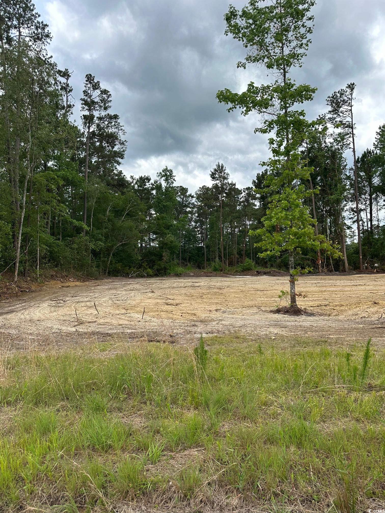 1 St John Road Galivants Ferry, SC 29544 - Photo 2 of 2 Gallery Image 2