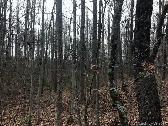 255 Griggs Road, Unit 4 Clover, SC 29710 - Photo 3 of 10 a view of a forest with a tree