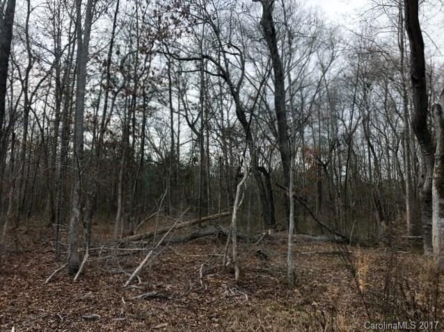 255 Griggs Road, Unit 4 Clover, SC 29710 - Photo 4 of 10 a view of a forest with trees in the background