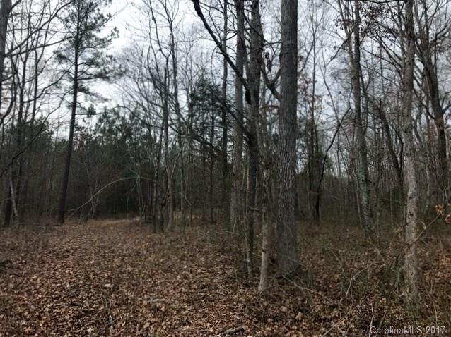 255 Griggs Road, Unit 4 Clover, SC 29710 - Photo 8 of 10 a view of a forest